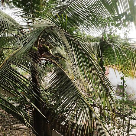 Pousada Tropical Brasil Jeri Jijoca de Jericoacoara Exterior foto